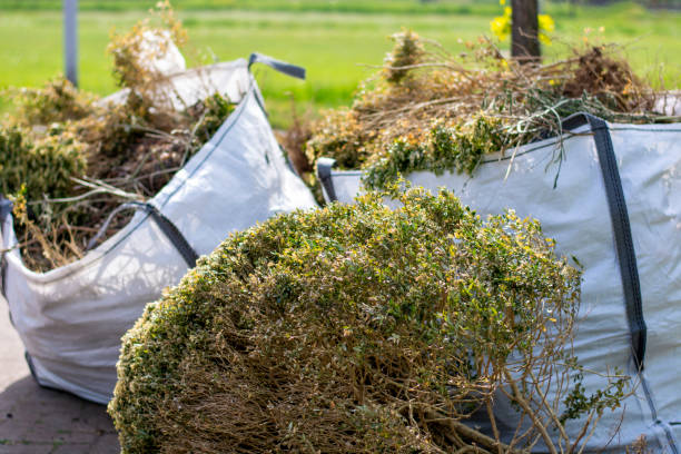 Best Moving and Downsizing Cleanouts  in Brownlee Park, MI